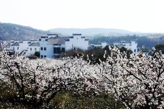 上学迟到